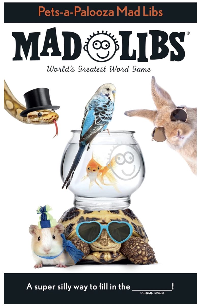 21 of the best unique stocking stuffers for under $6 18 cover of "pets-a-palooza mad libs" featuring a turtle, mouse, rabbit, snake, parakeet, and fish bowl with cartoon faces; animals sport fun accessories like hats and sunglasses. perfect for stocking stuffers! text: “a super silly way to fill in the ___!”.