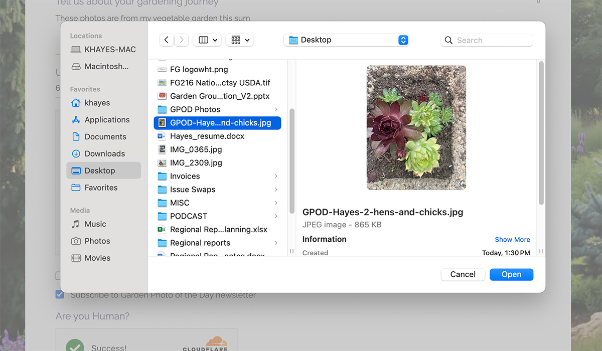 garden photo of the day form part 3