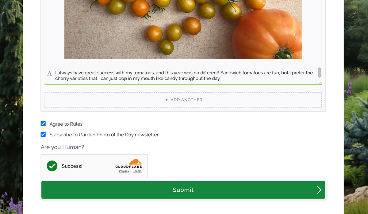 garden photo of the day form part 8