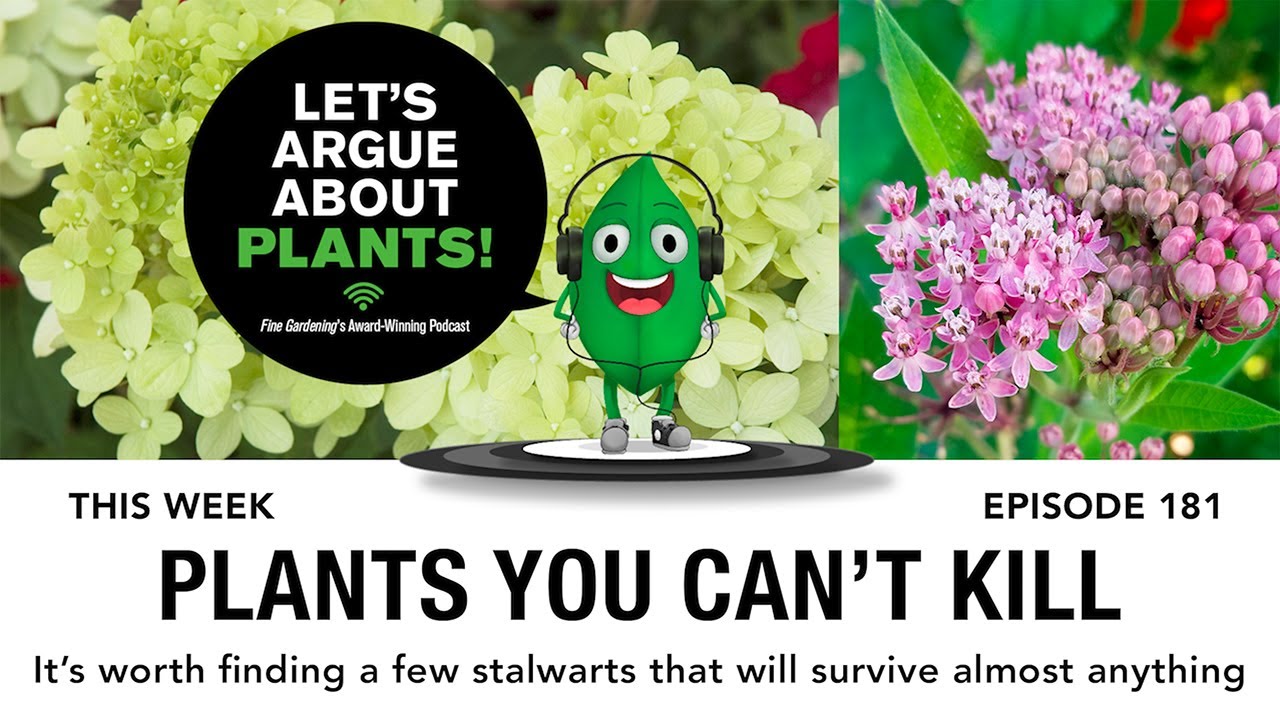 episode 181: plants you can't kill