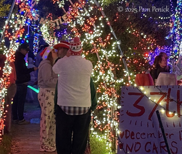 joy to the weird at 37th street lights 1 37th street lights