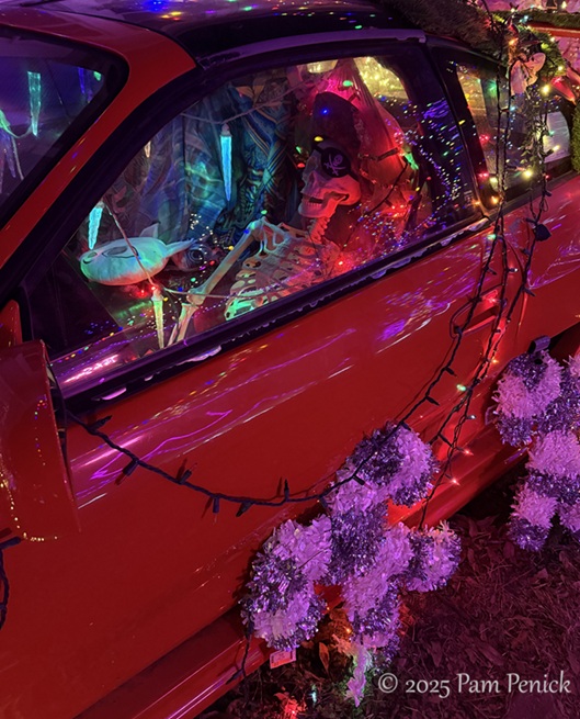 joy to the weird at 37th street lights 8 37th street lights