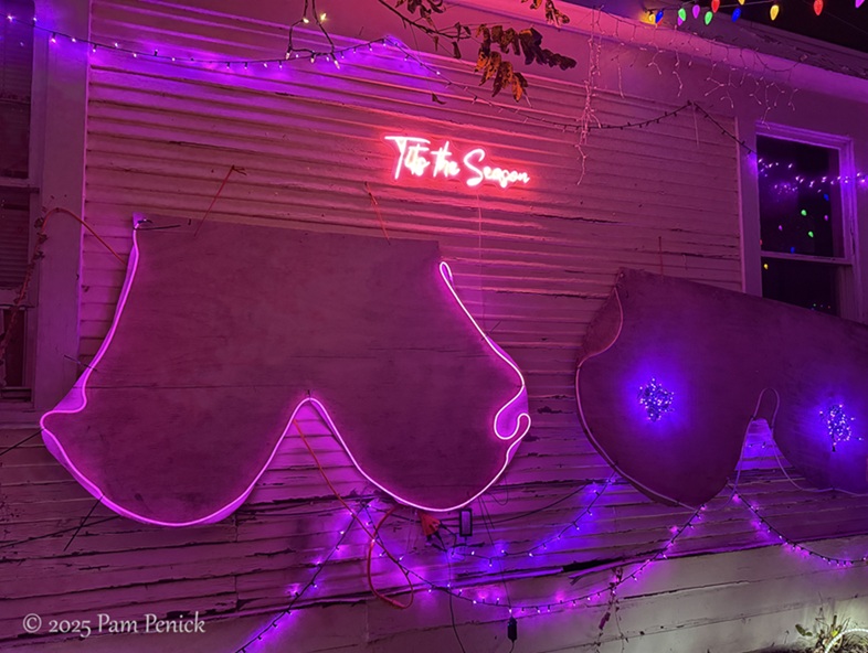 joy to the weird at 37th street lights 9 37th street lights