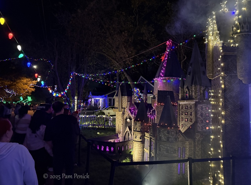 joy to the weird at 37th street lights 10 37th street lights