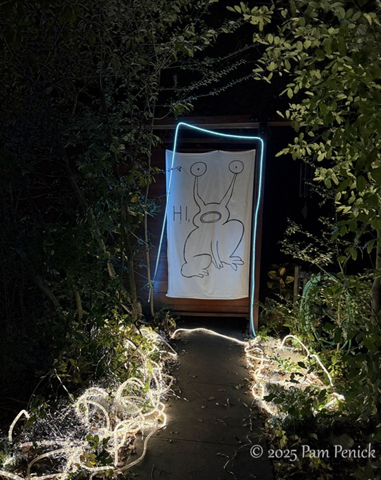 joy to the weird at 37th street lights 11 37th street lights