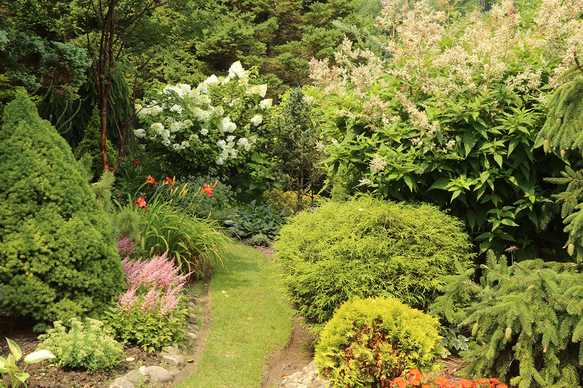 grass garden path cutting through lush garden