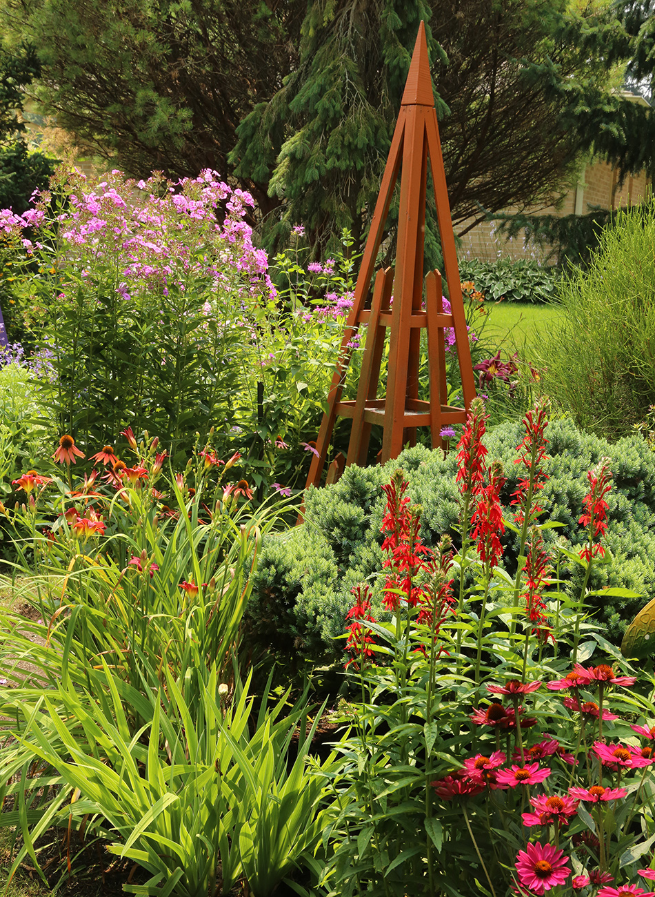 orange trellis in garden with bright red and pink flowers