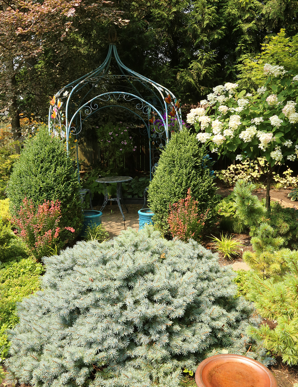 metal gazebo in back of garden