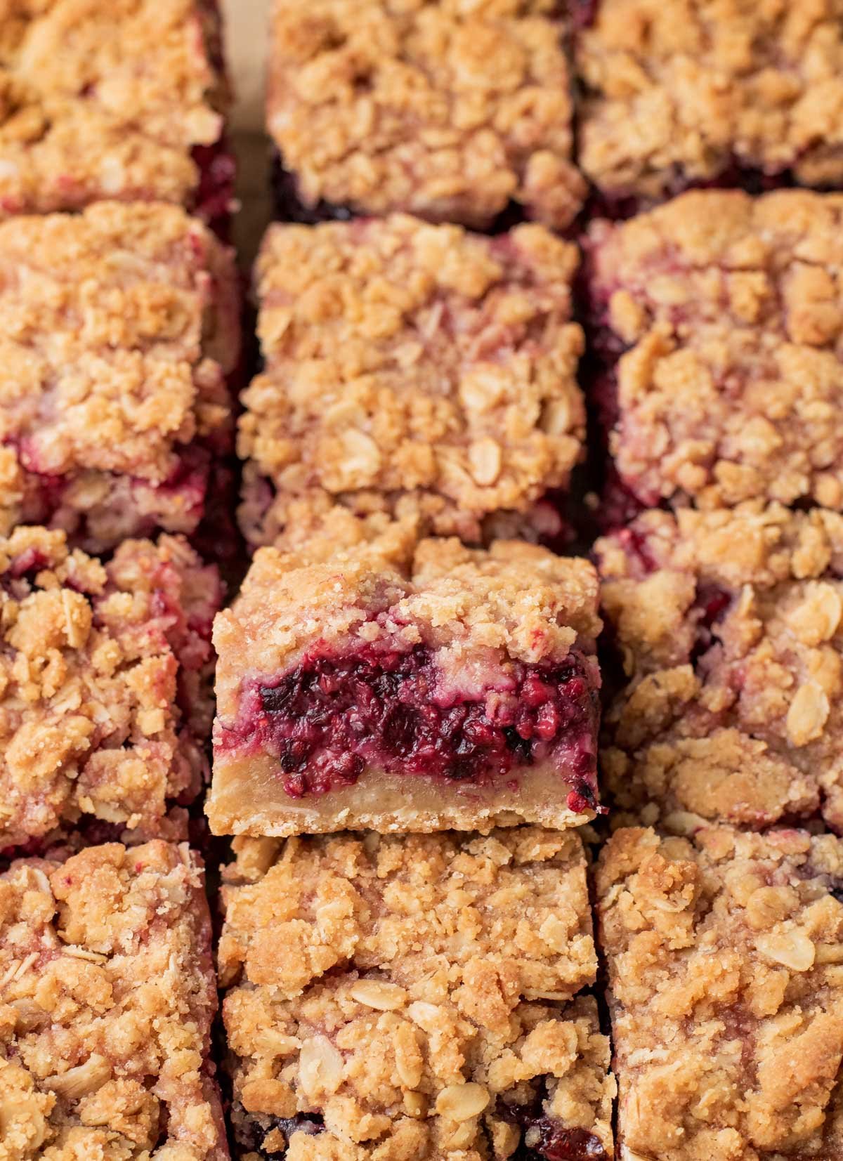 closeup shortbread bars desert, cut into sqaures and lined up in rows