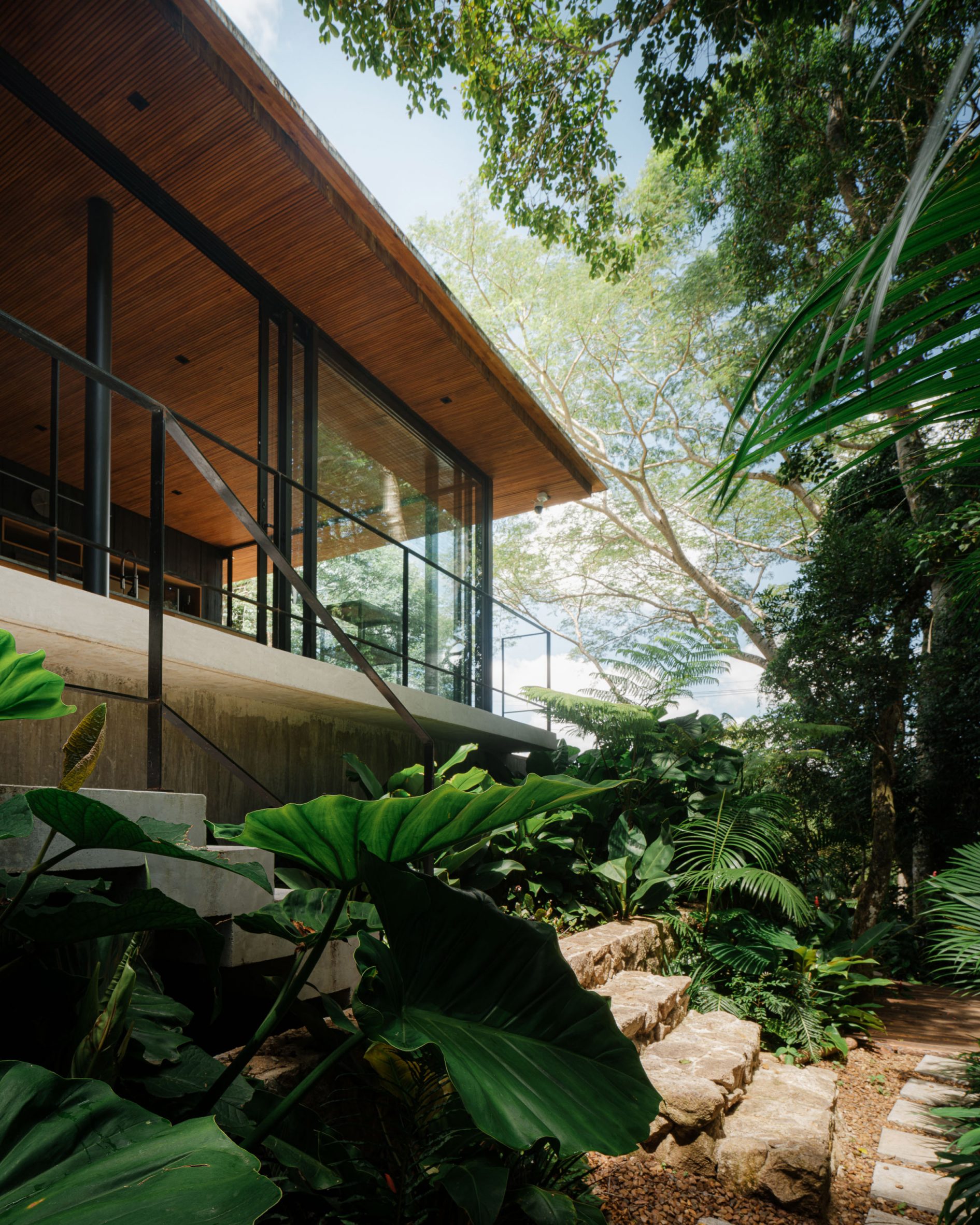 concrete house with a wood-lined roof surrounded by forest