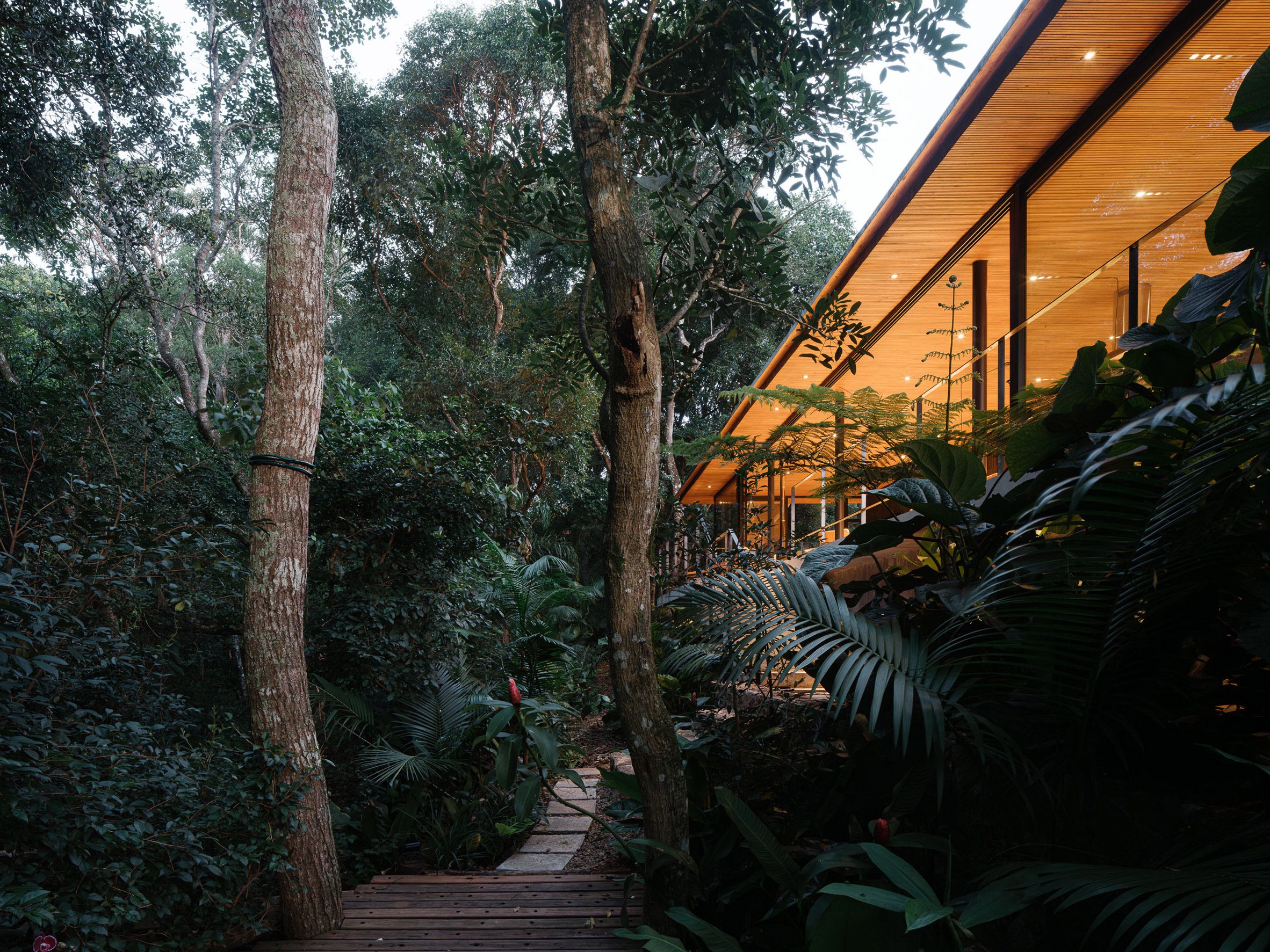 a transparent house glows at night, hidden behind a dense foliage