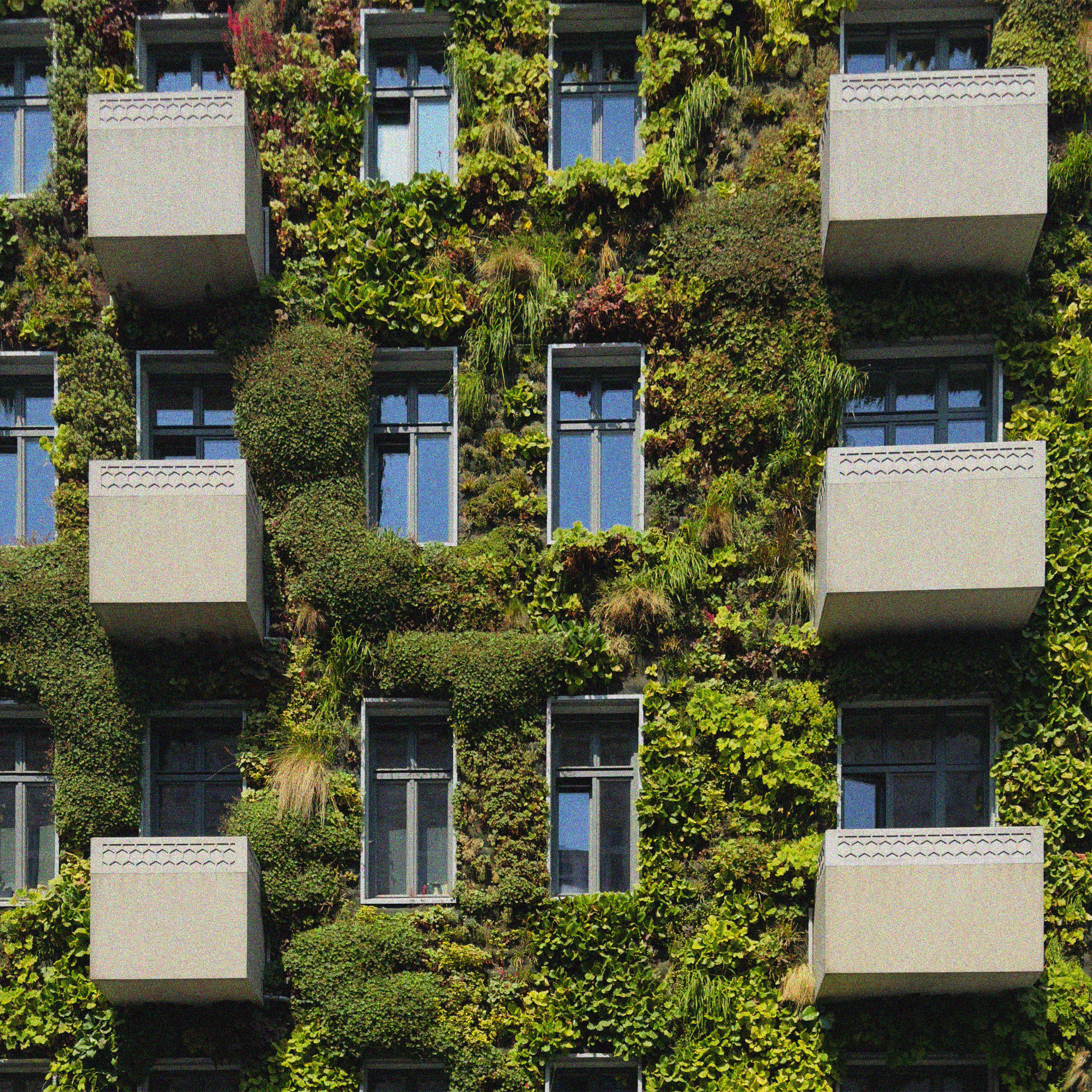 green wall
