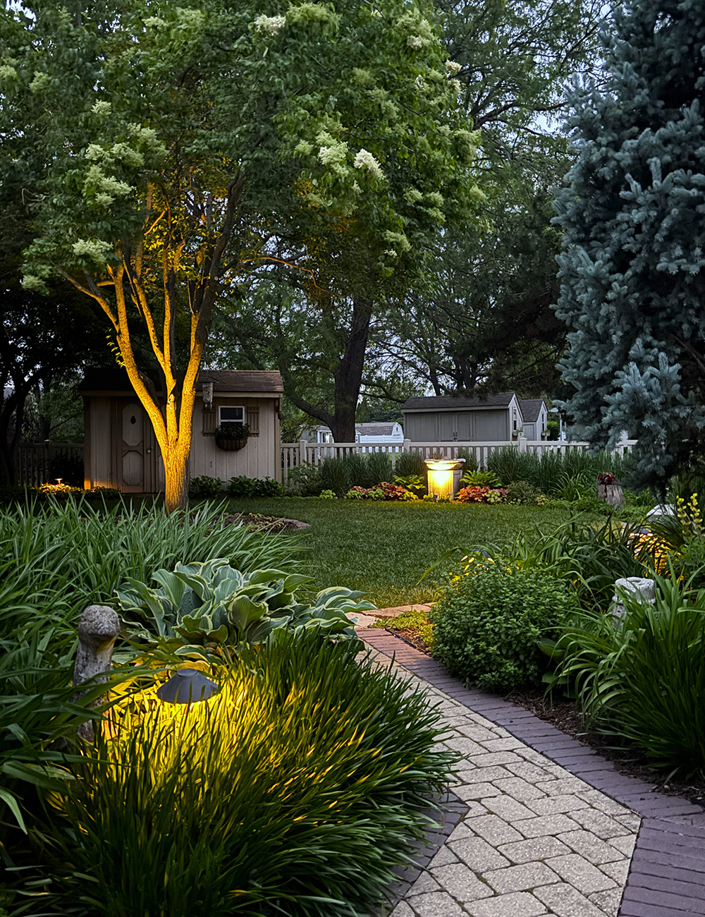 backyard garden at night