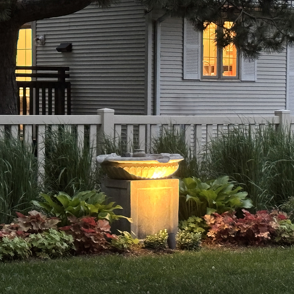garden border at night