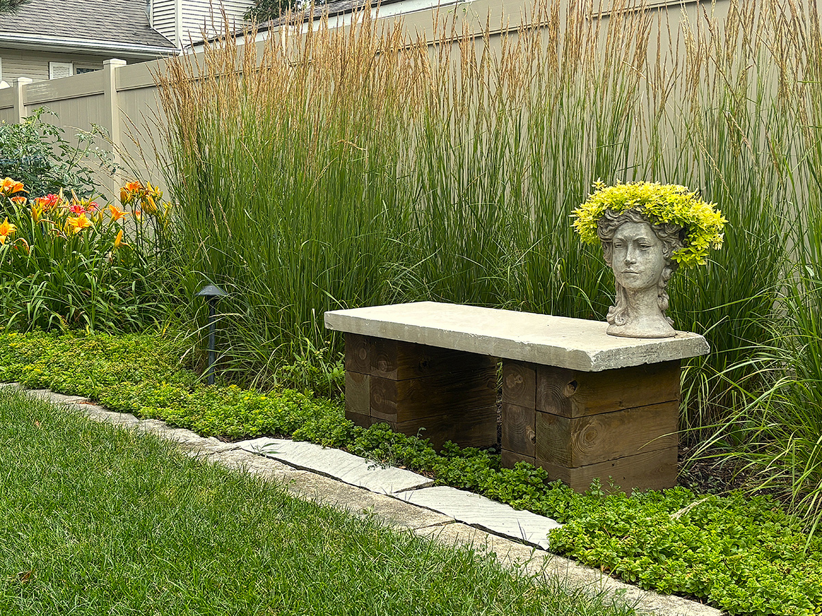 garden bench with ornamental grass behind