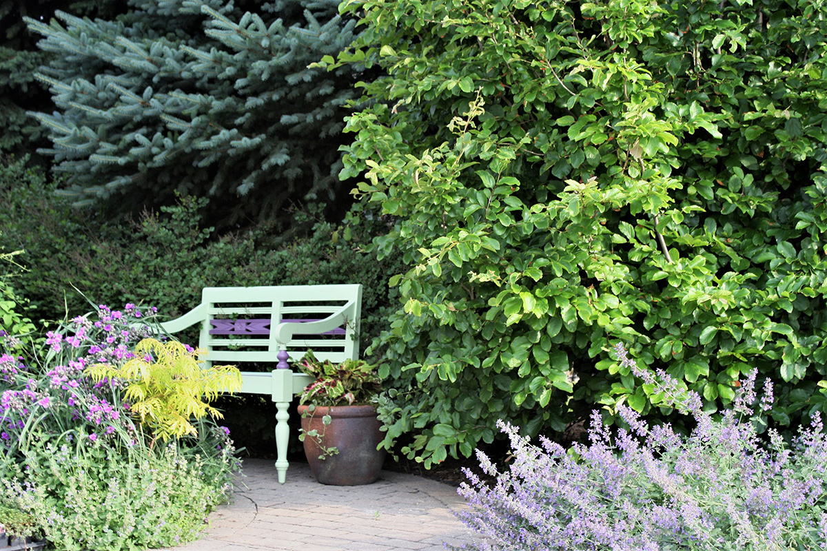 purple and green plants around a garden bench