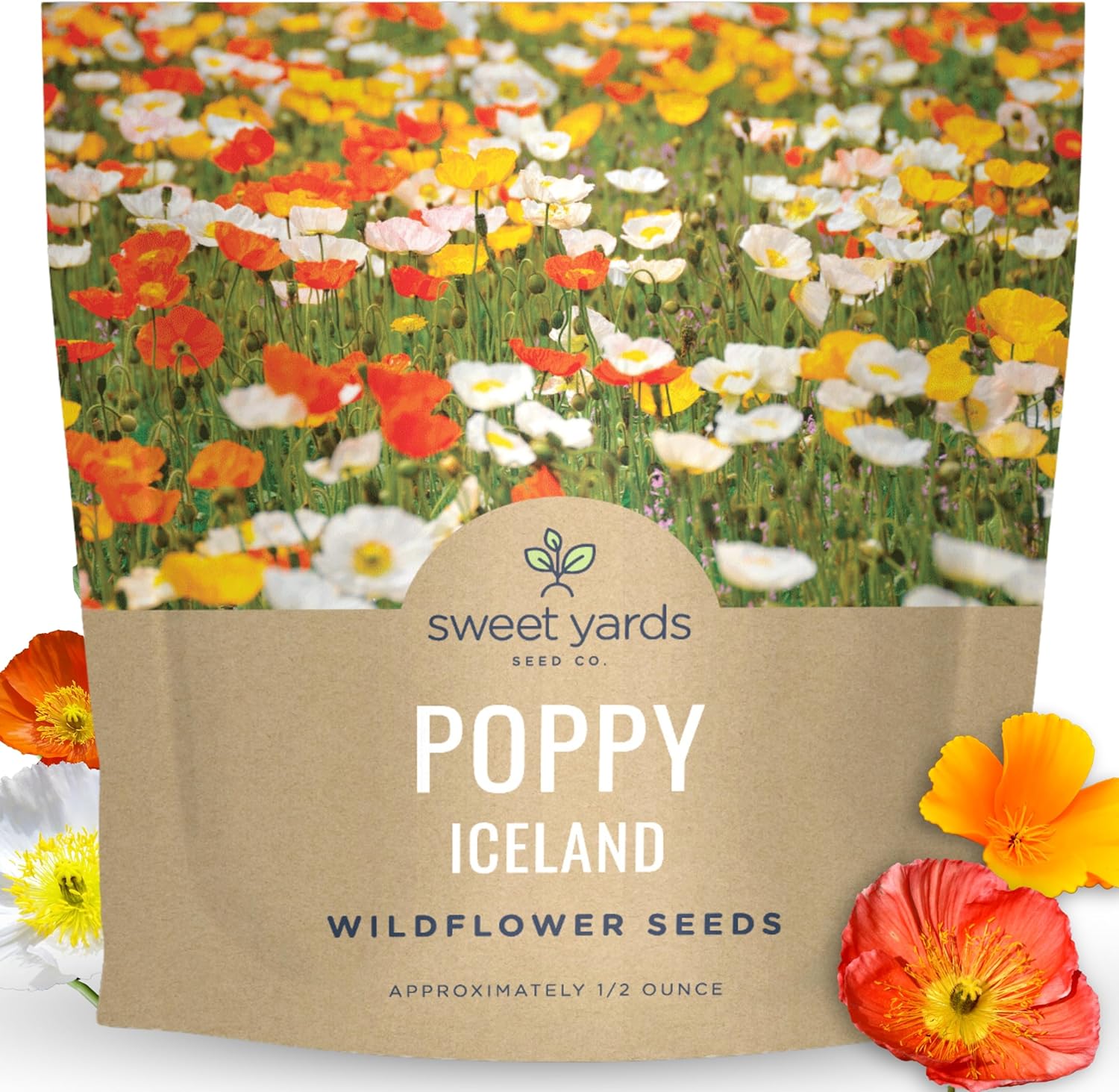 poppy - iceland - large 1/2 ounce packet - 75,000 flower seeds for planting - papaver nudicaule