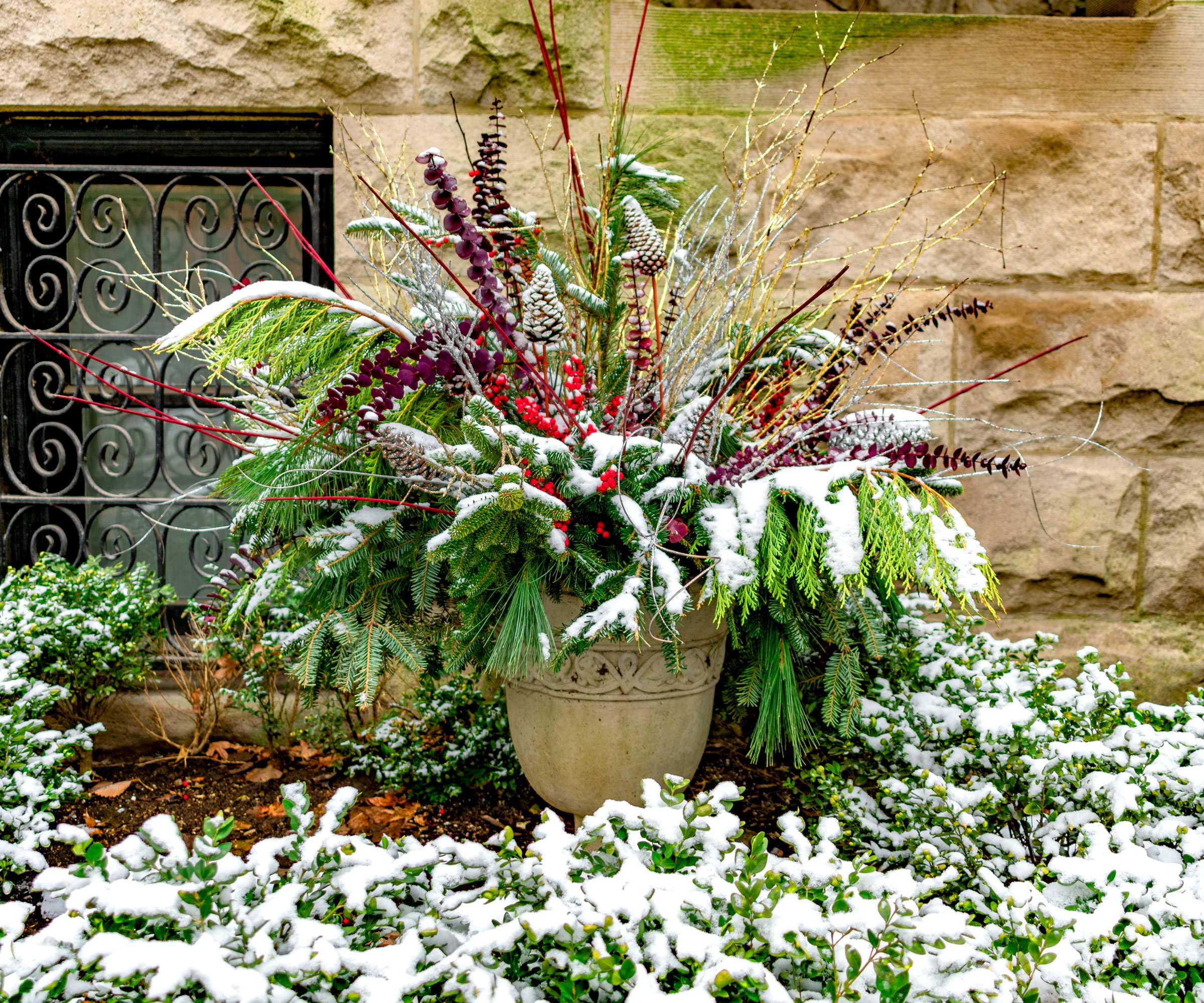 festive thriller filler spiller planter with snow