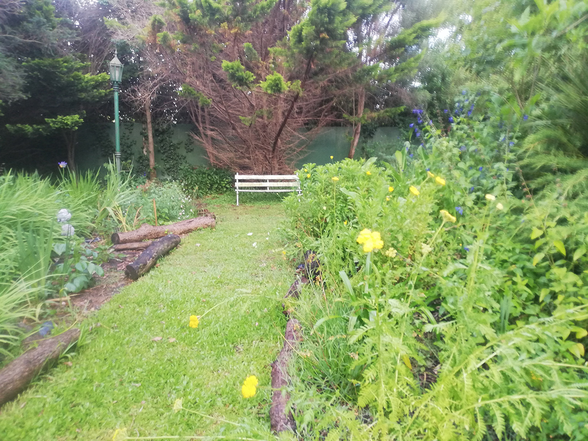 grass path with garden beds on both sides