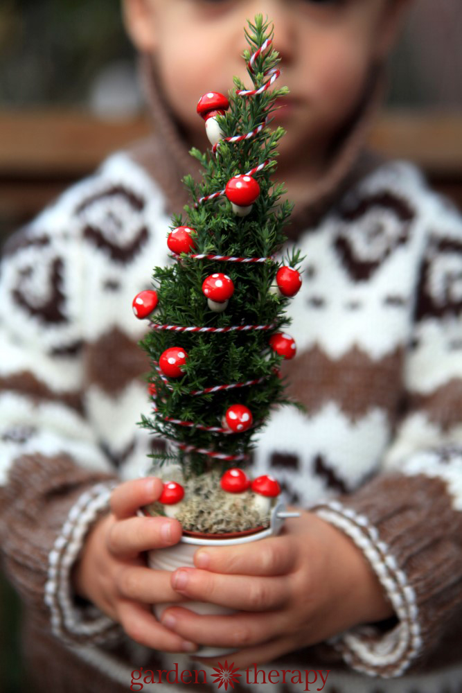 A Real Miniature Christmas Tree for the Gnomes