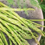 Six Things to Know Before You Plant Asparagus Six Things to Know Before You Plant Asparagus