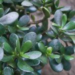 5 Causes and How to Fix Them