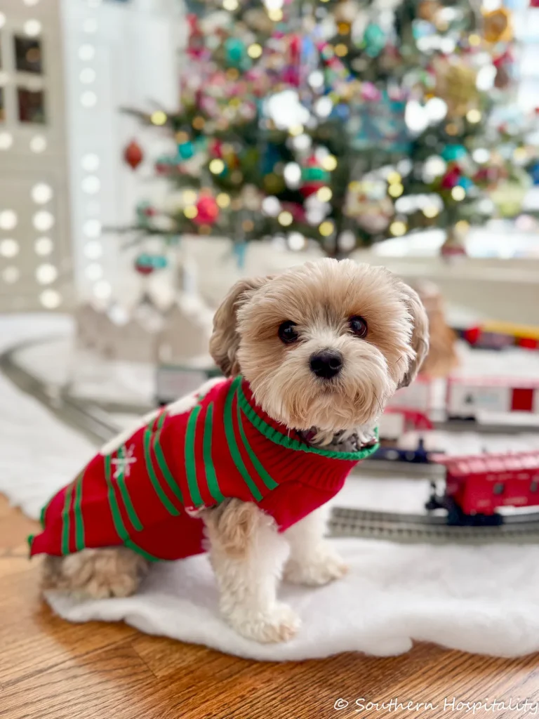 Shiny Brite Tree & Dining Room Cheer