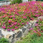 7 Best Raised Flower Bed Ideas For Longer Lasting Floral Color 7 Best Raised Flower Bed Ideas For Longer Lasting Floral Color