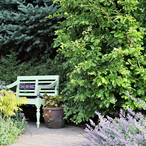 John’s Getaway Garden in Illinois, Part 2