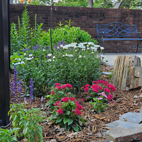 Angelas Summer Flowers in North Carolina