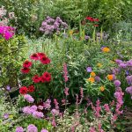 deborah’s garden through the years