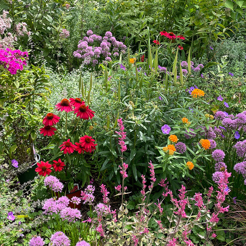 Deborah’s Garden Through the Years