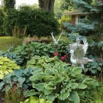 A Summer Trip to a Wonderful Wisconsin Garden