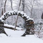 Fresh Snow in Carol’s Pennsylvania Garden