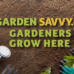 What Weeds Reveal: Using Garden AI to Diagnose Soil Problems What Weeds Reveal: Using Garden AI to Diagnose Soil Problems