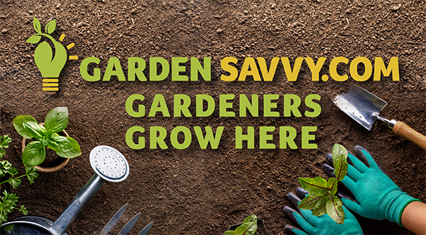 What Weeds Reveal: Using Garden AI to Diagnose Soil Problems