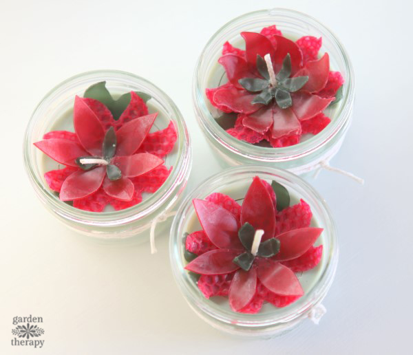 these poinsettia candles make for a fun handmade christmas project. they are made with beeswax and soy wax and scented with festive essential oils. 