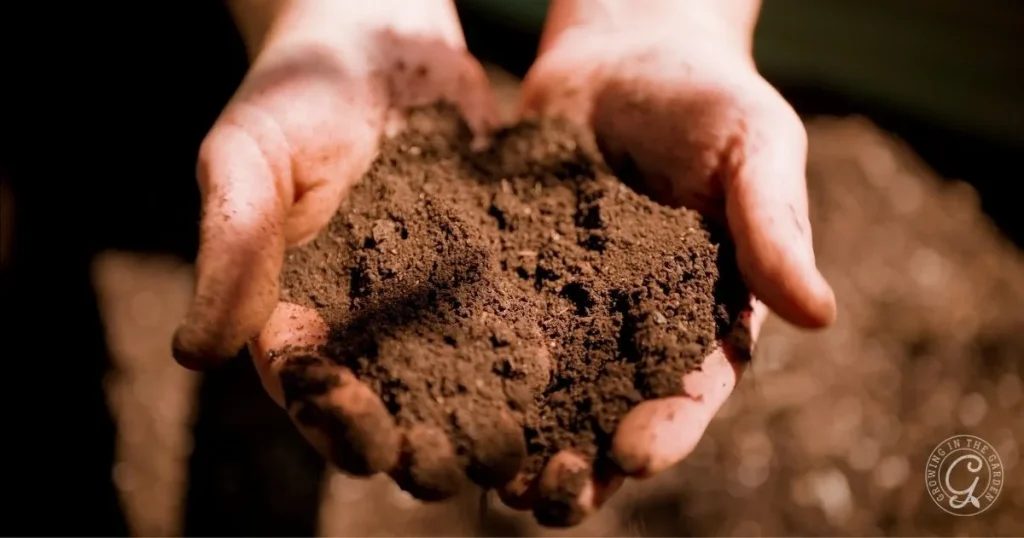 How to Fix Hydrophobic Soil in the Desert Garden