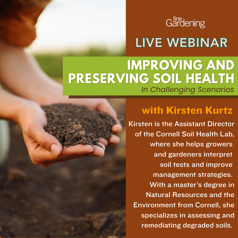 Improving and Preserving Soil Health in Challenging Scenarios – Q&A with Kisten Kurtz