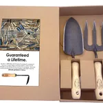 broadleaf evergreens winter