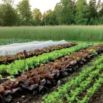 Return to the Roots of the Organic Method