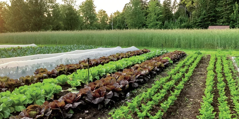 Return to the Roots of the Organic Method