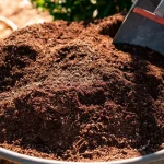 The Best Organic Garden Fertilizer For Healthy Soil The Best Organic Garden Fertilizer For Healthy Soil