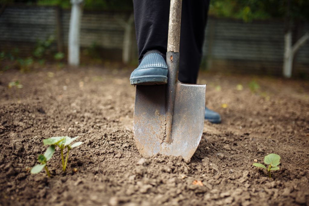 The Role of Soil Preparation in Landscaping Success
