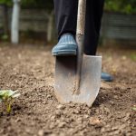 The Role of Soil Preparation in Landscaping Success The Role of Soil Preparation in Landscaping Success