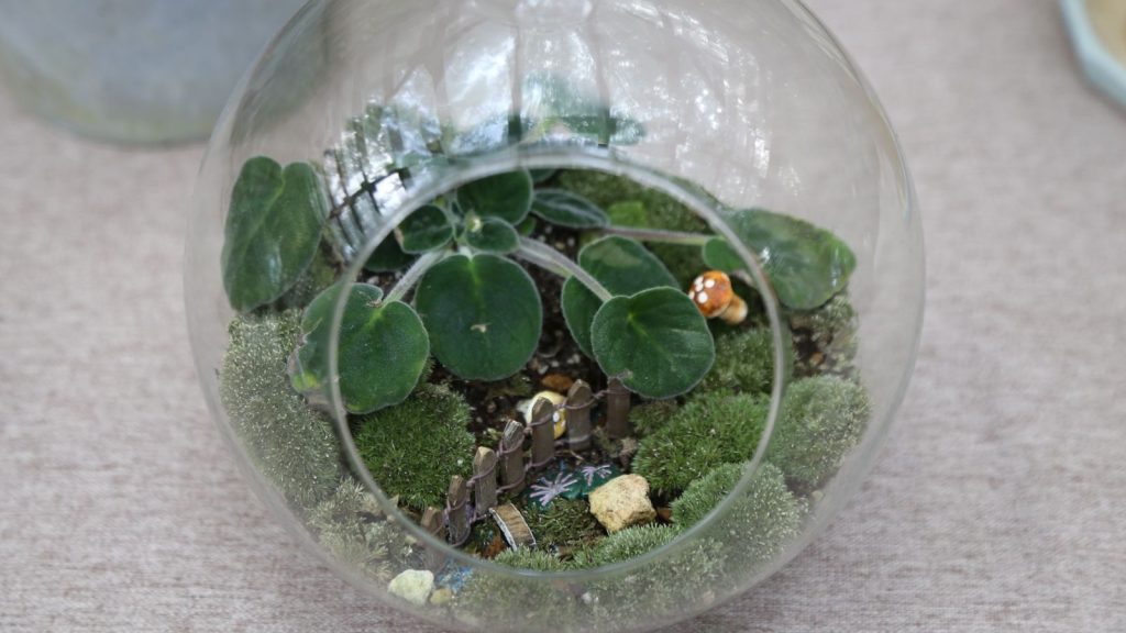How to Make a DIY Fairy Terrarium: Expert Guide