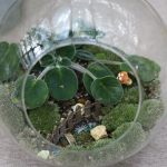 How to Make a DIY Fairy Terrarium: Expert Guide