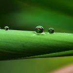 Top 5 Ideas: Stone, wood, water… harmonizing elements