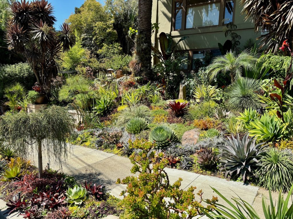 Garden Visit An 81YearOld Daily Gardener in Oakland Shares Her Lessons Learned