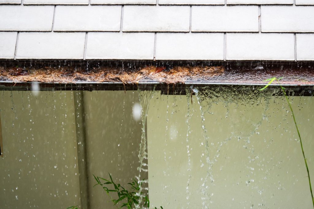 Protecting Your Garden from Roof Runoff During Heavy Rain